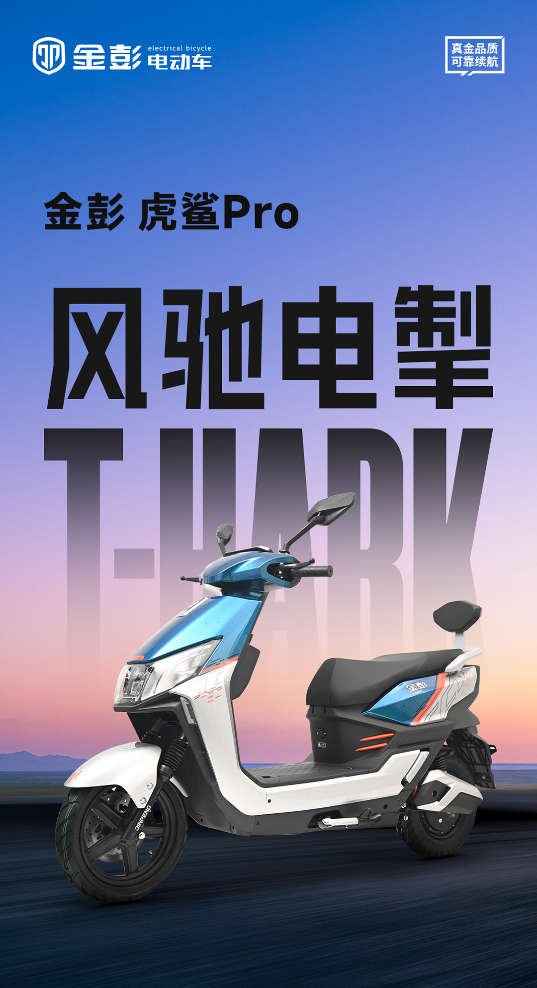 虎鯊長圖_01.jpg