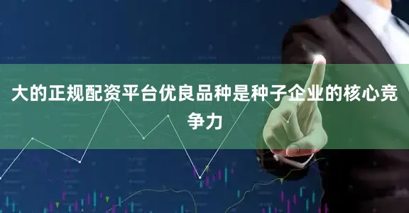 大的正规配资平台优良品种是种子企业的核心竞争力