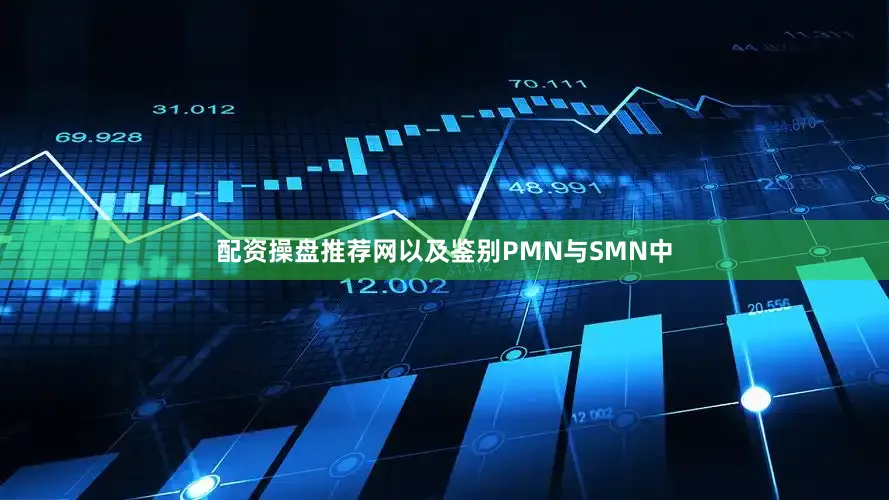 配资操盘推荐网以及鉴别PMN与SMN中
