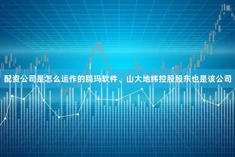 配资公司是怎么运作的鸥玛软件、山大地纬控股股东也是该公司