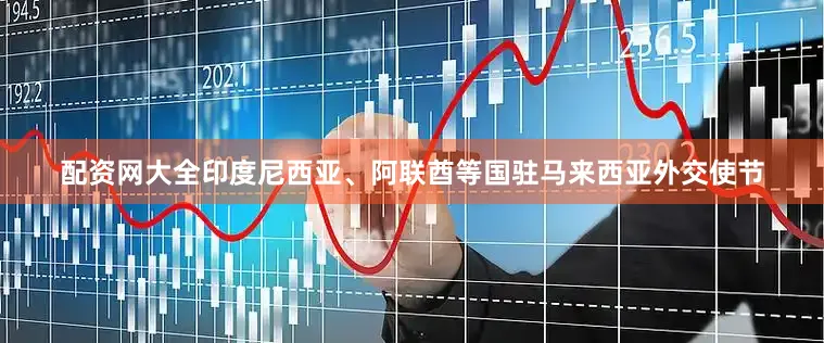 配资网大全印度尼西亚、阿联酋等国驻马来西亚外交使节